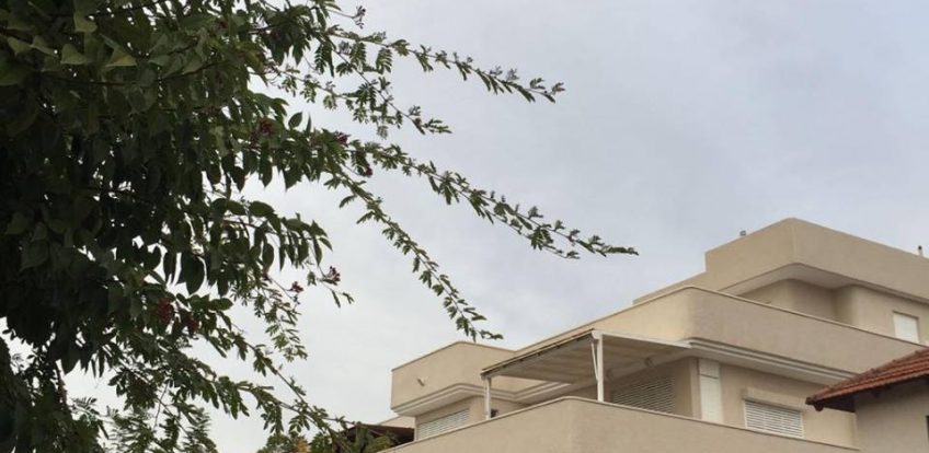 ביטול סעיפים מקפחים בחוזה